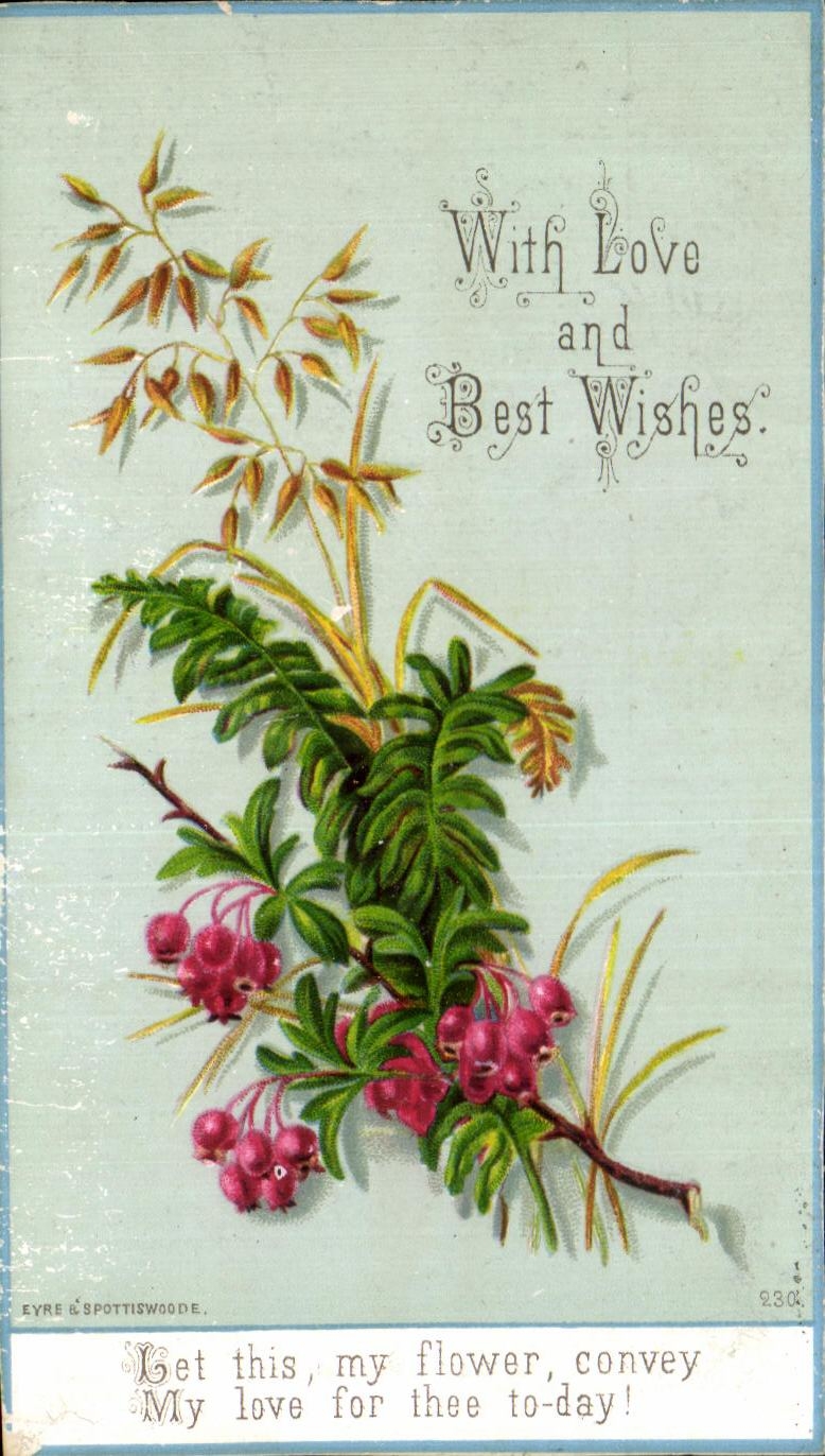Chromo With Love and Best Wishes Fleurs 