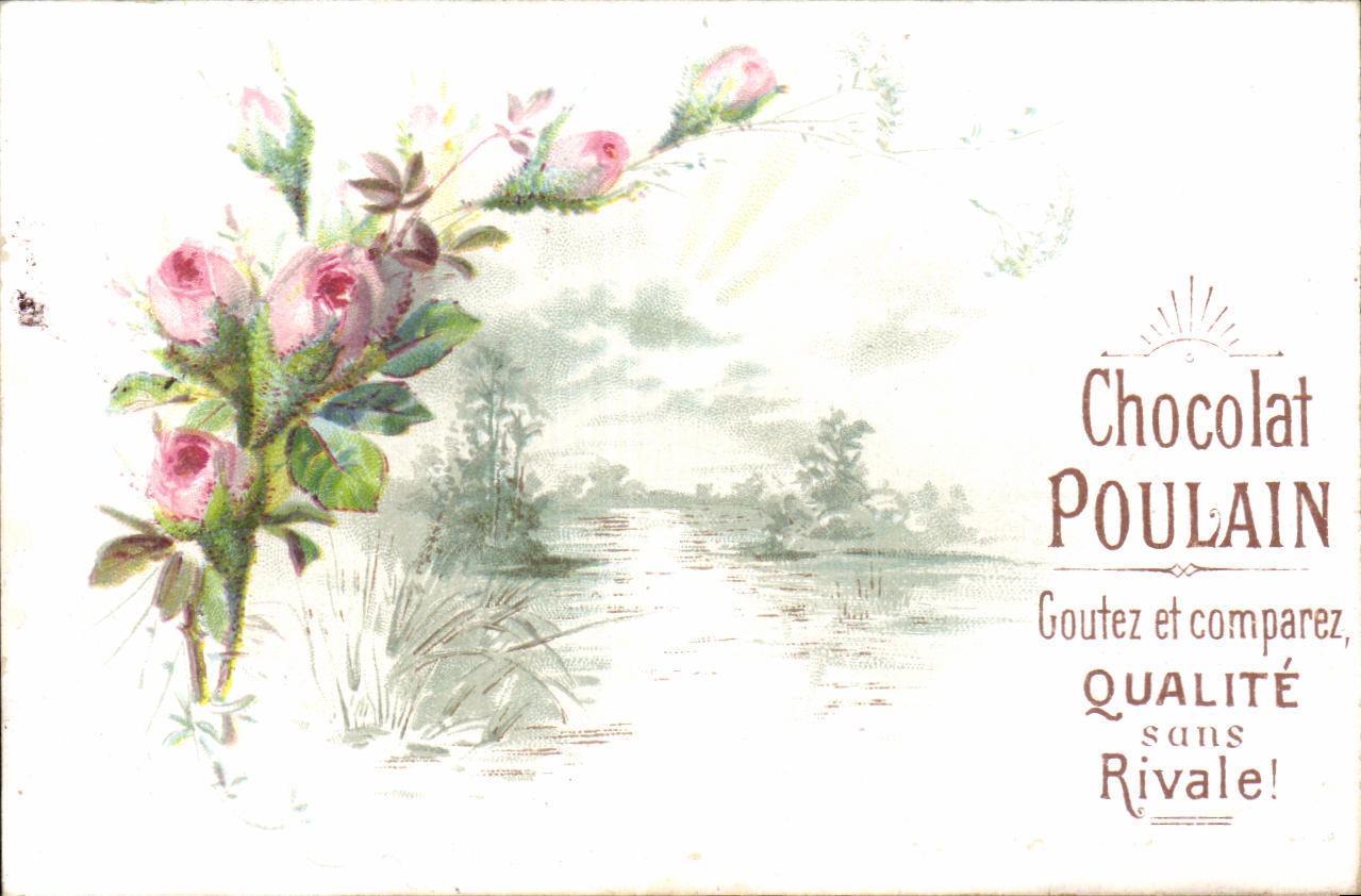 Chromo Chocolat Poulain Fleurs 