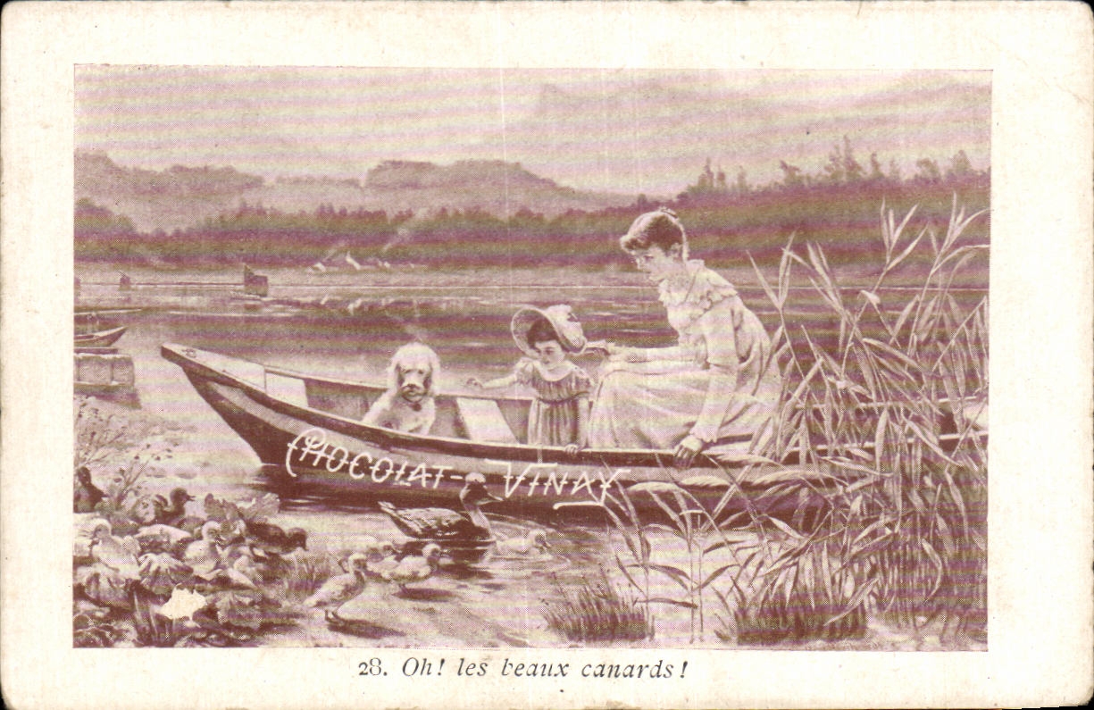 Image chocolate Vinay Oh Dog the beautiful ducks Child wife