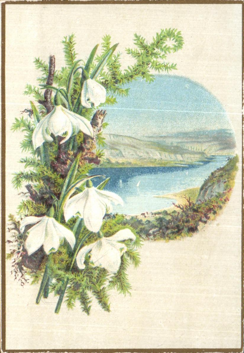 Chromo Fleurs Fleurs 