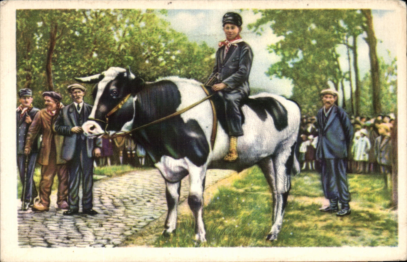 Belgian Image Folklore Dimensions of gold Brasschaert the winner of the curious race to oxen