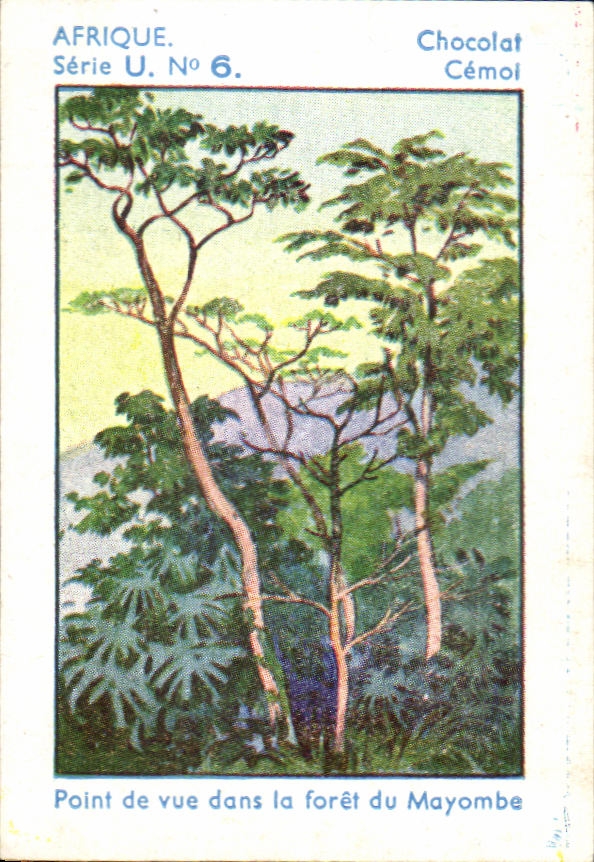 Image Africa Chocolate Cemol Point of view in the Drill of Mayombe