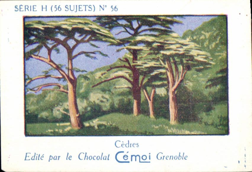 Image Cedres publishes By the Chocolate Cemol Grenoble