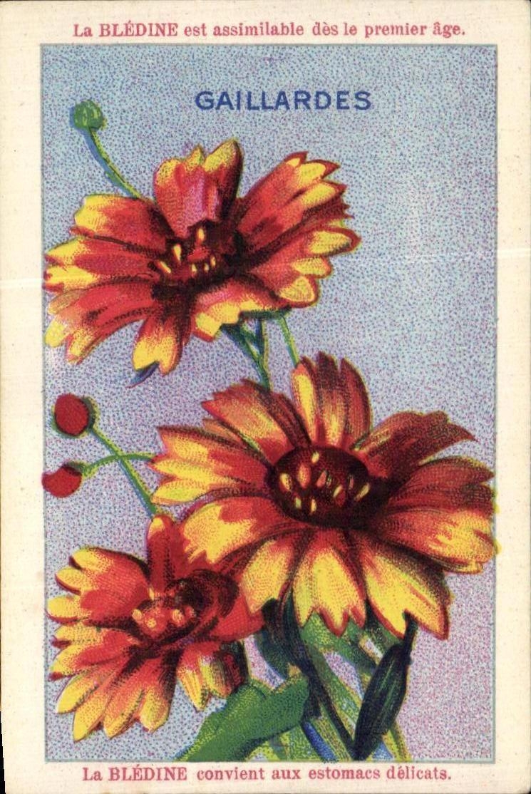 Image bledine Strong