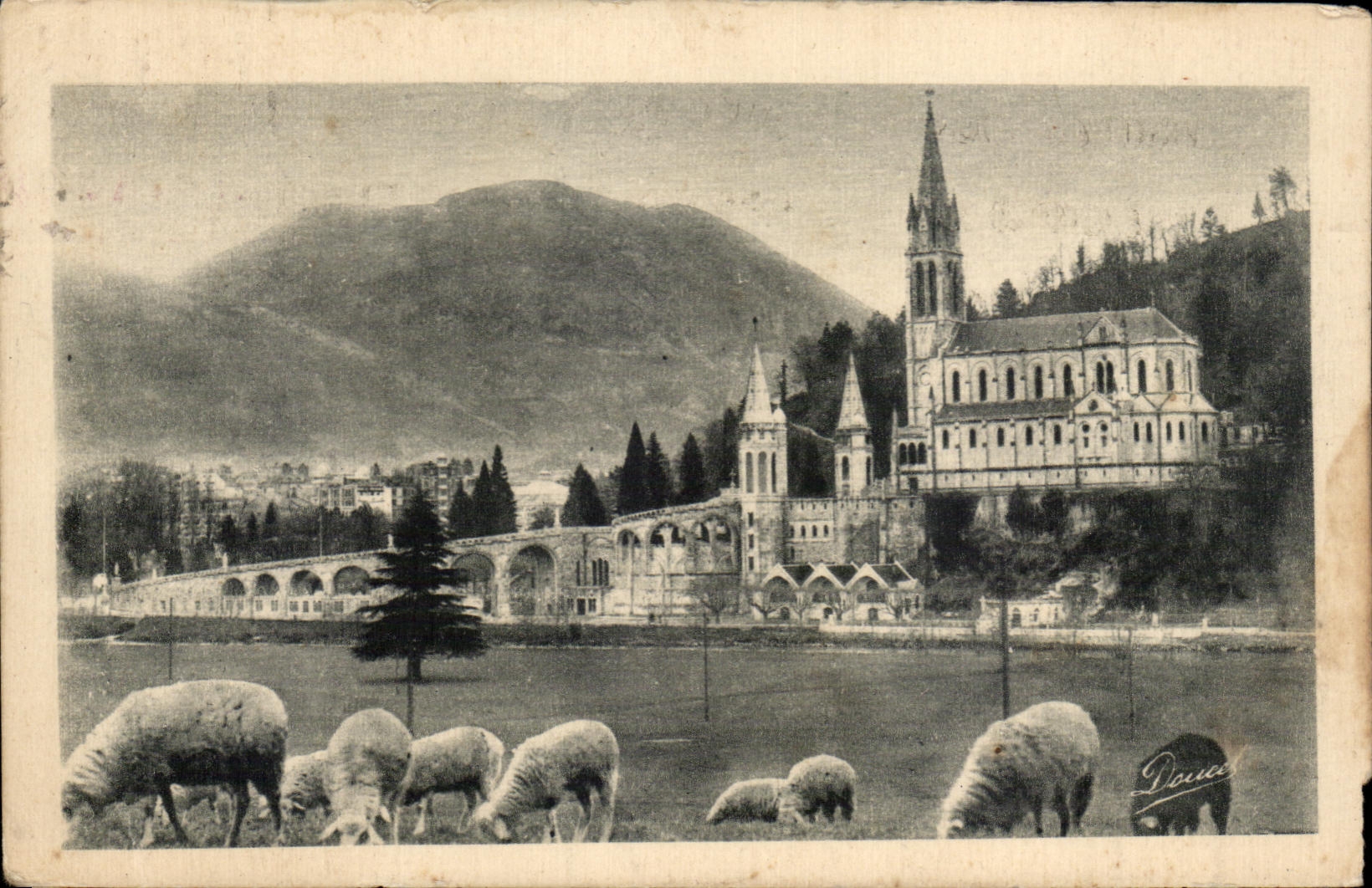 CPA Lourdes La Basilique et le Pic du Jer Moutons