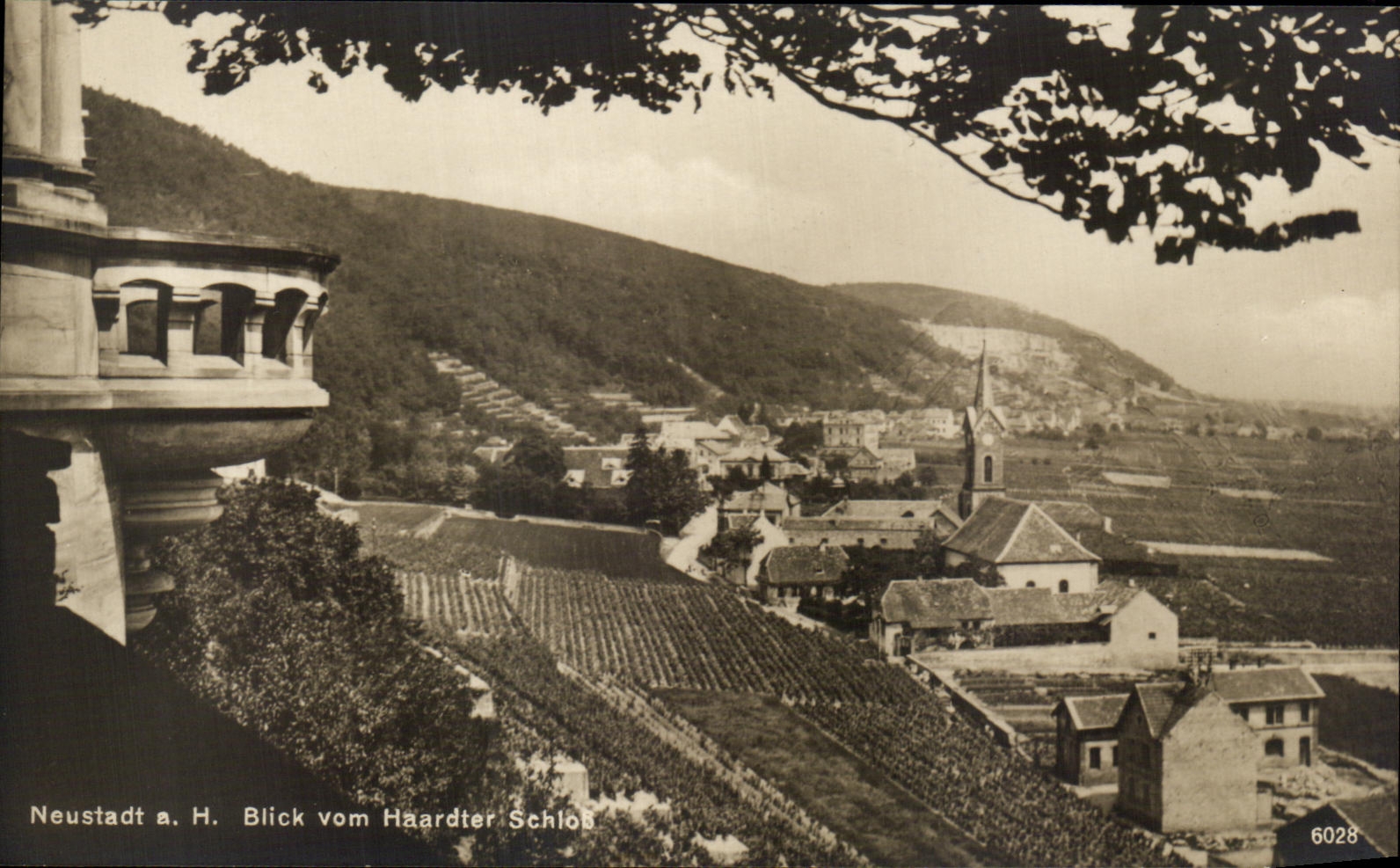 CPA Neustadt Blick vom Haardter Schlob