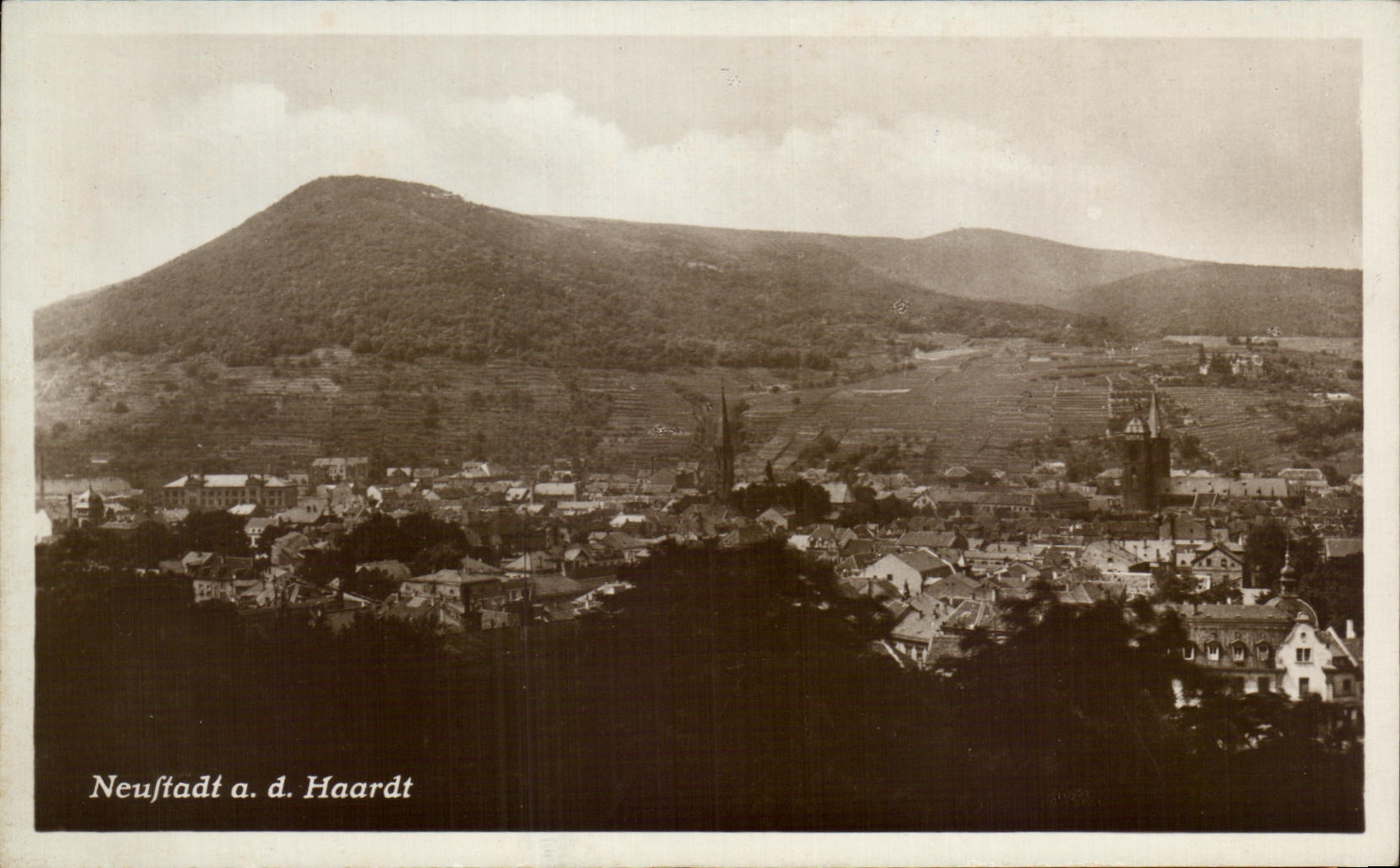 CPA Neustadt Haardt