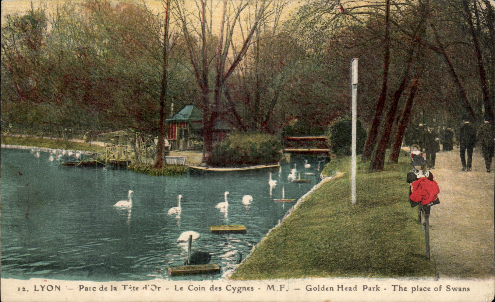 CPA Lyon Park of the gold Head the corner of the swans