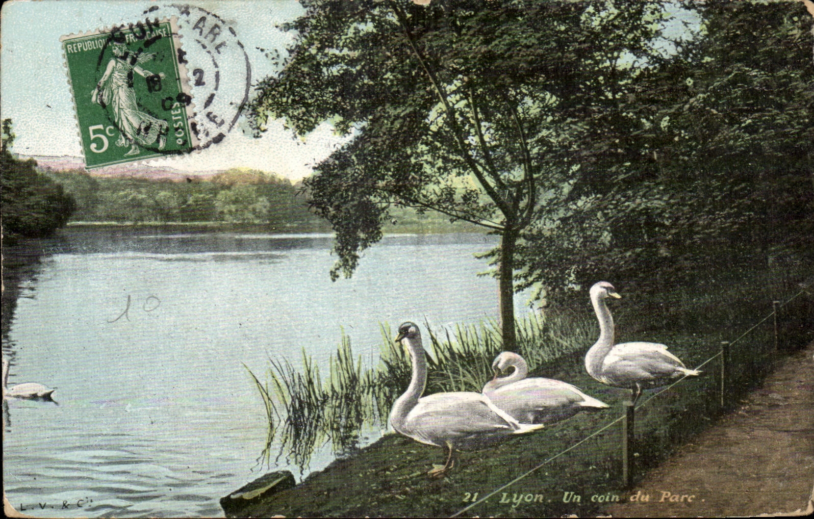 CPA Lyon a Corner of the Park Swans