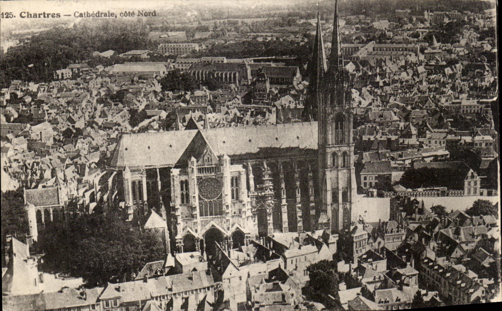 CPA Cathedrale de Chartres Cote Nord