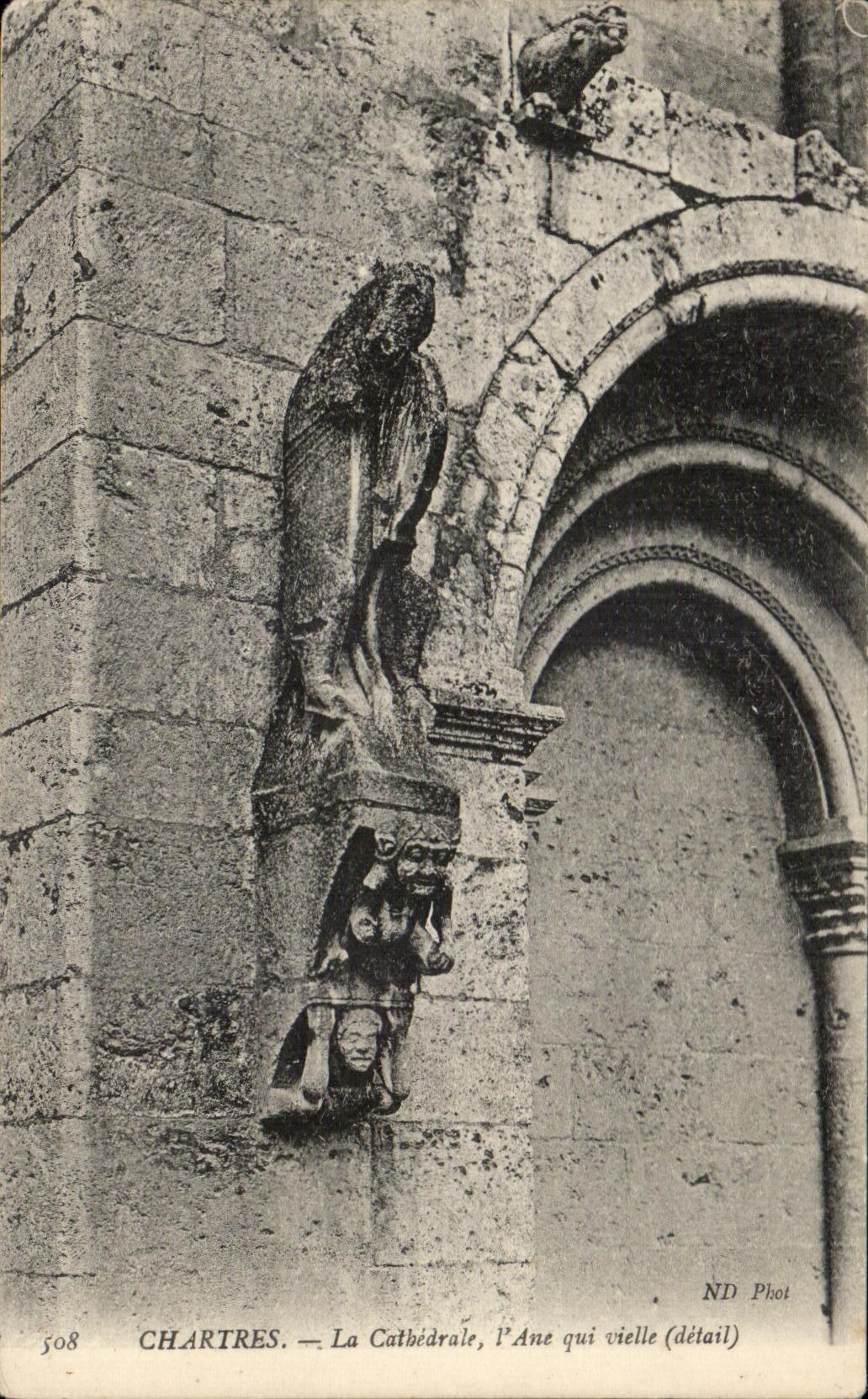 CPA Cathedrale de Chartres L'Ane qui vielle