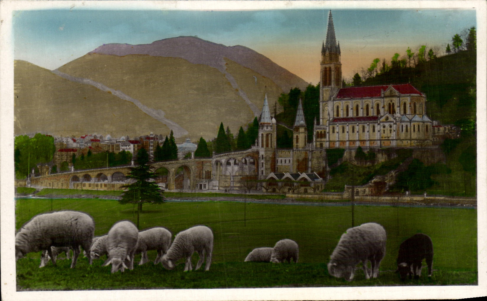 CPA Lourdes La Basilique et le Pic du Jer Moutons 