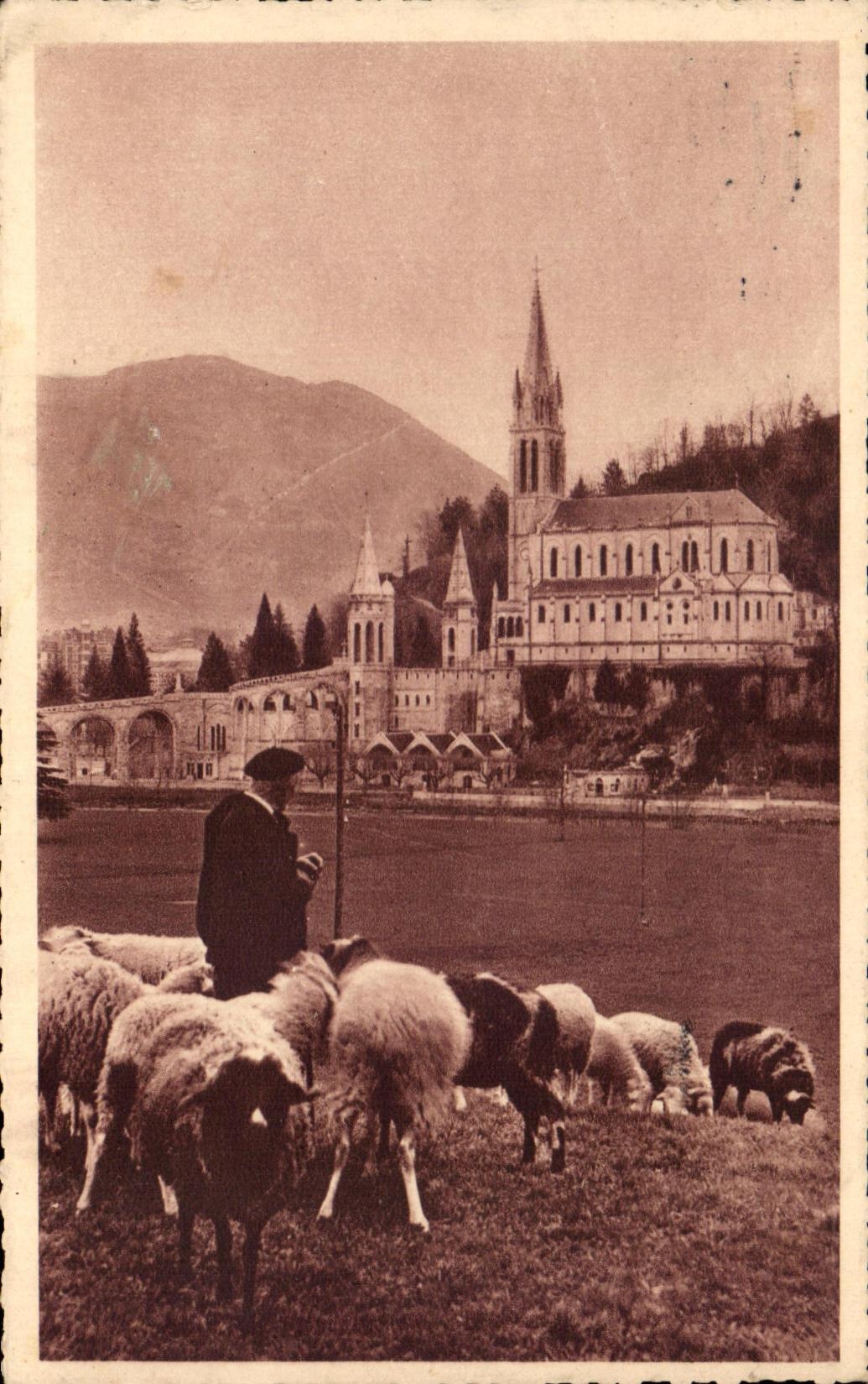 CPA Lourdes La Basilique Berger et moutons 