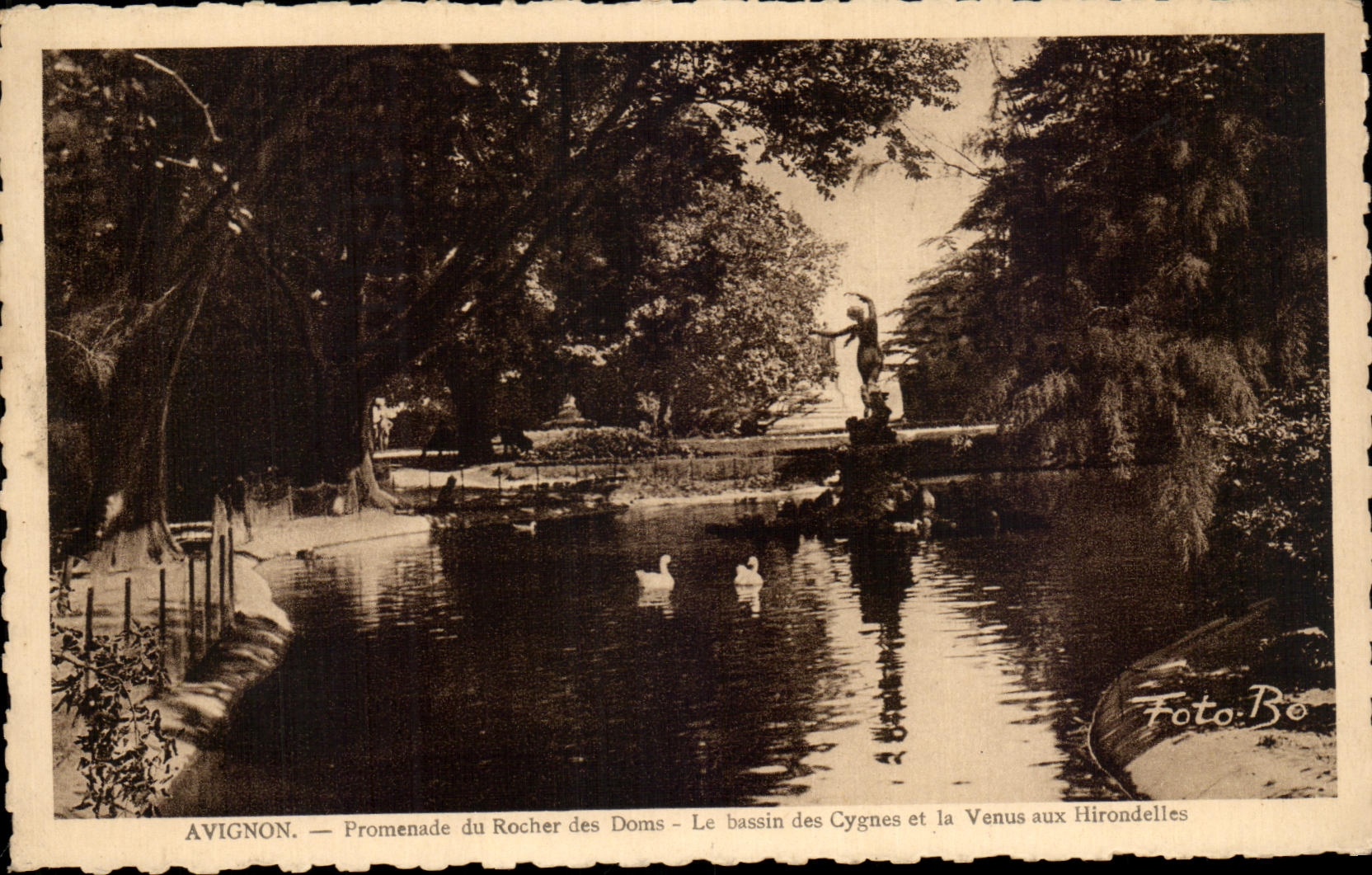 Caminata de CPA Avignon de la roca de Doms el lavabo de los cisnes y venido a los tragos