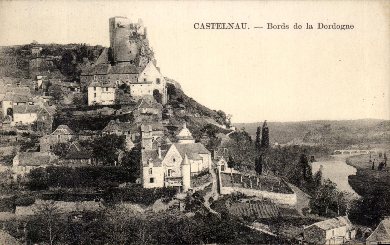 CPA Castelnau Bords de la Dordogne