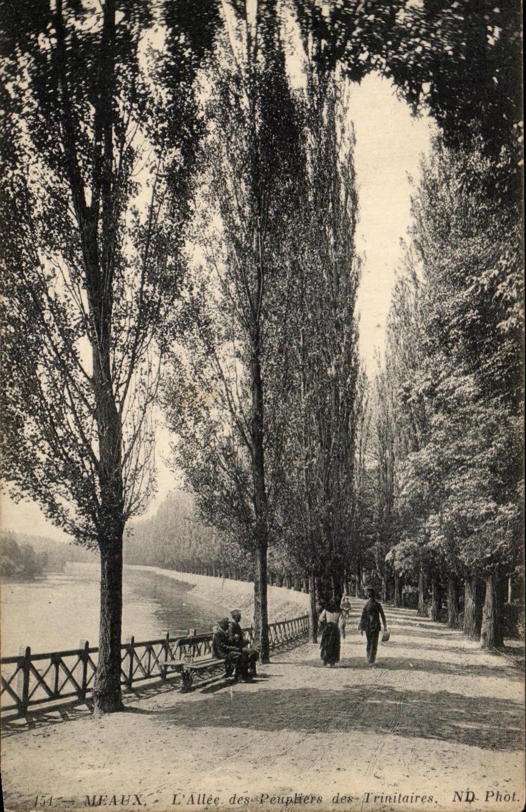 CPA Meaux Allee of the Poplars of Trinitaires