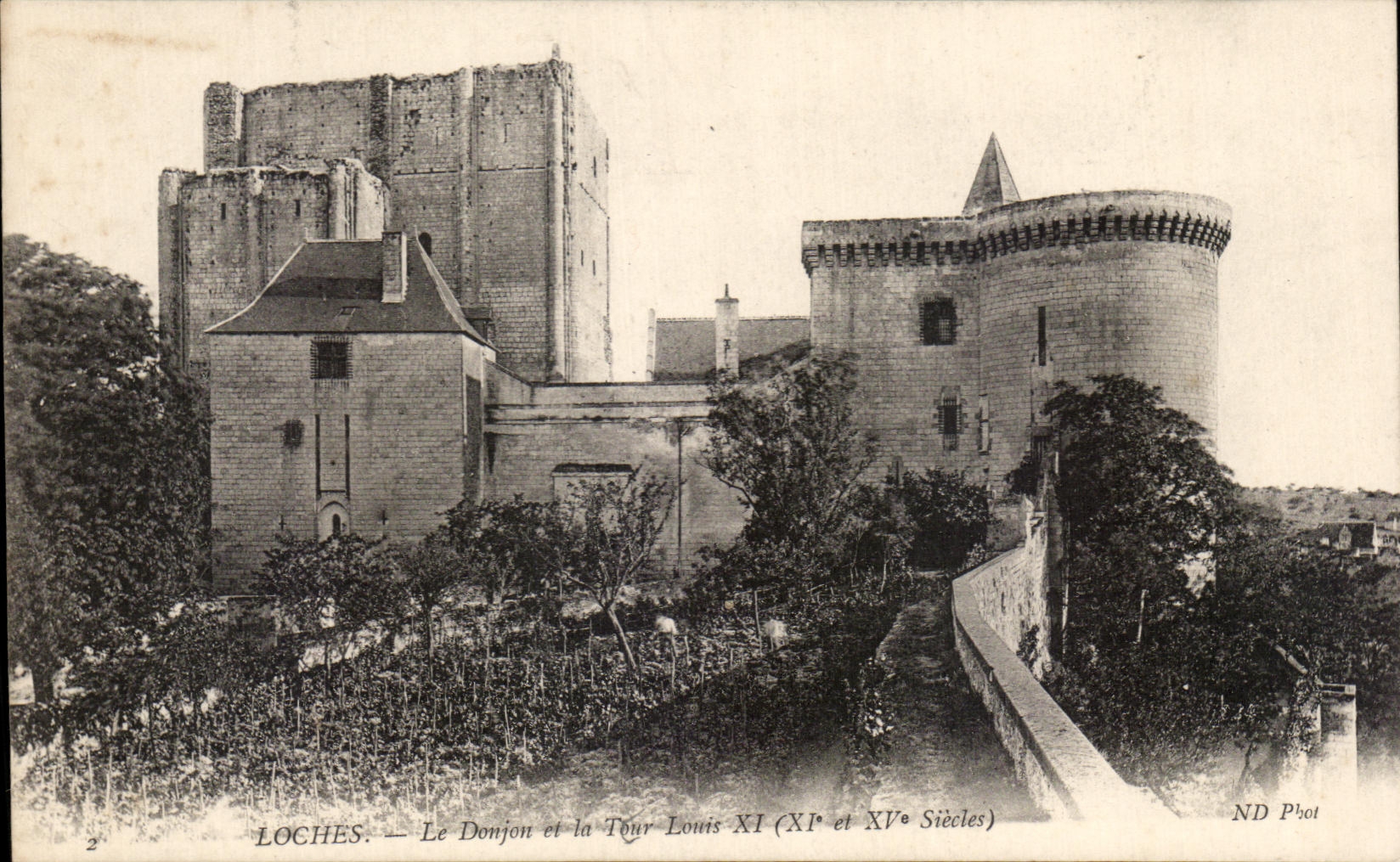 CPA Loches Le Donjon et la Tour Louis