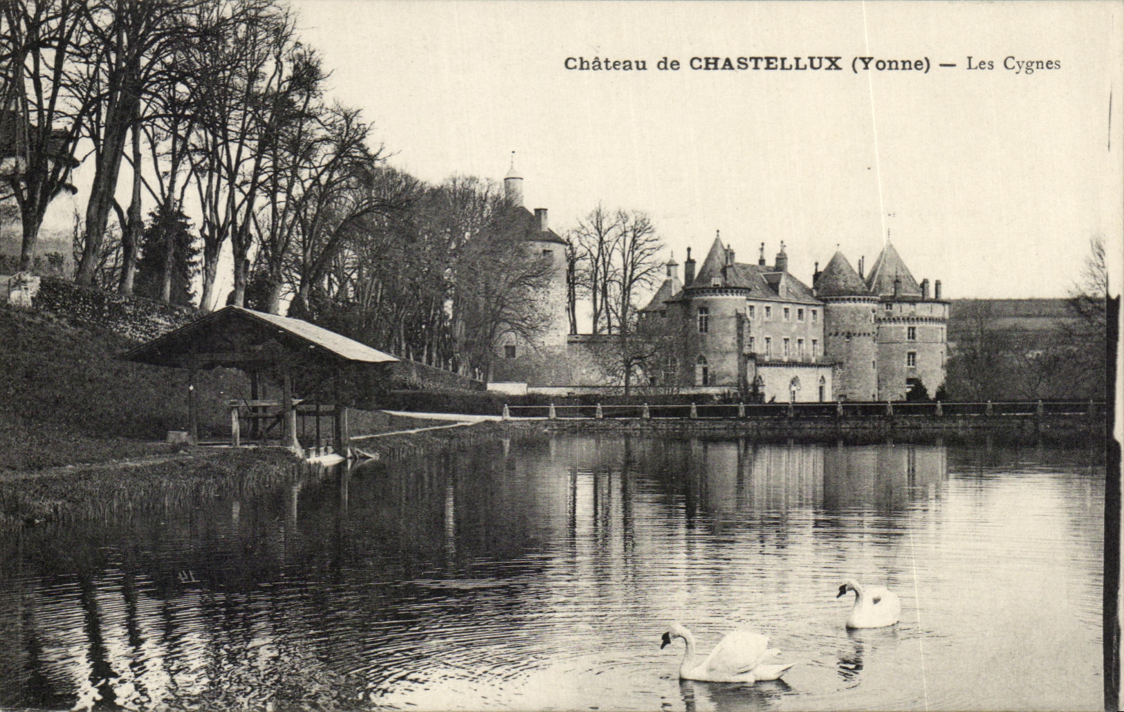 CPA Chateau de Chastellux Les Cygnes