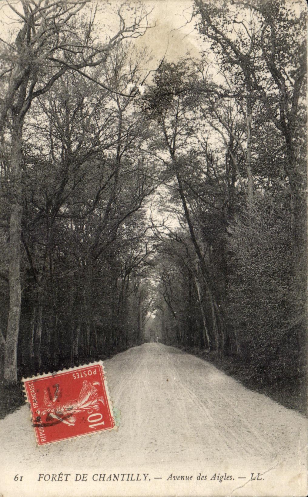 CPA Foret De Chantilly Avenue des Aigles