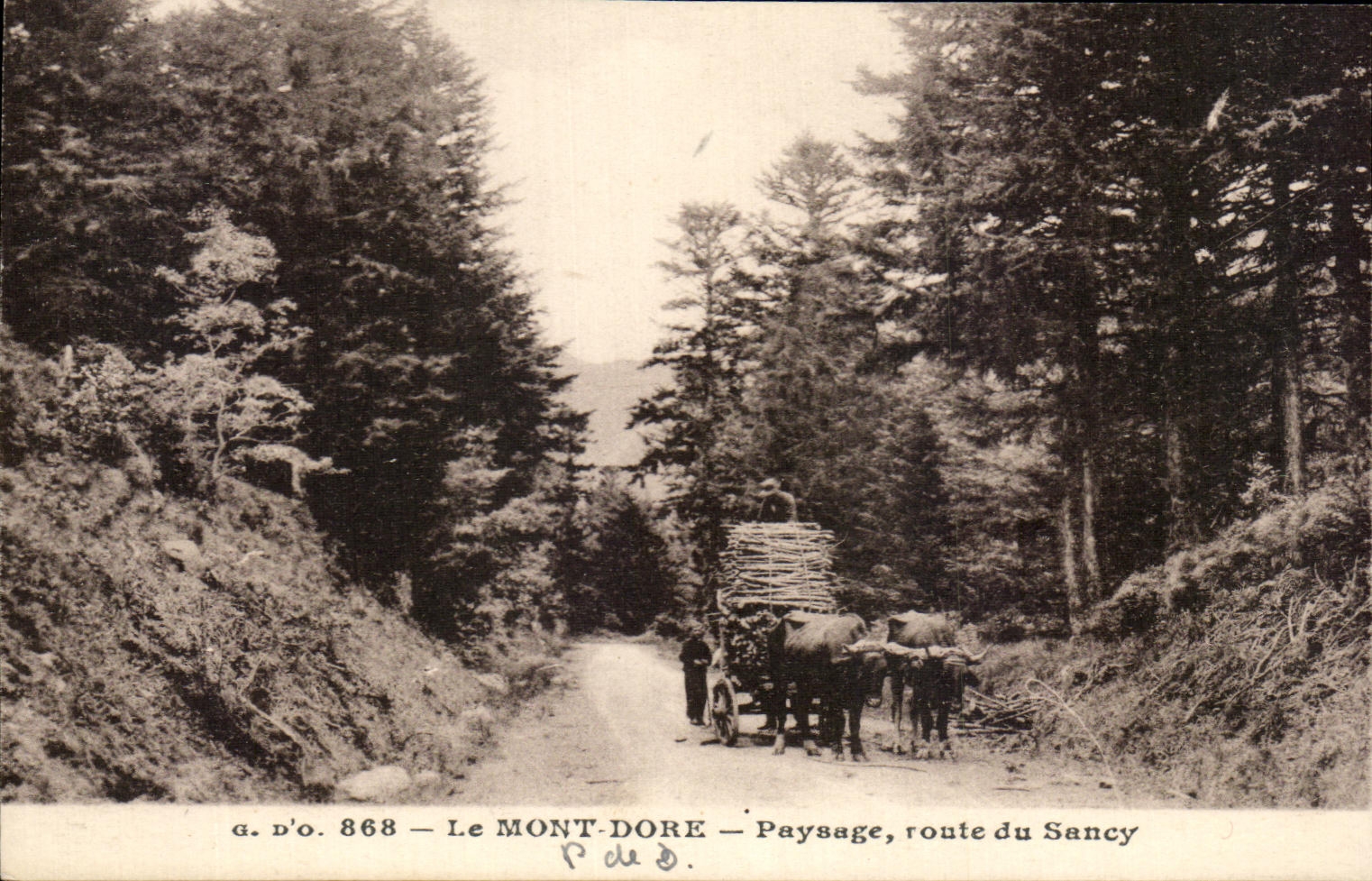 CPA the Mount Gilds Landscape road of Sancy Attelage Oxen