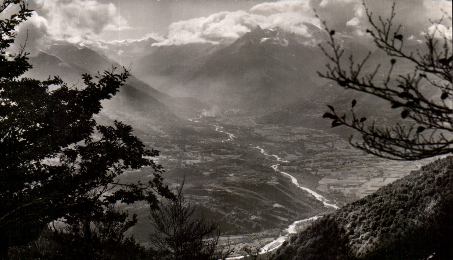 CPA Toute La France Jove Pau Lourdes Le Pibeste Valle d'Argeles vue du sous bois