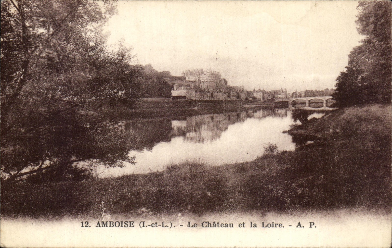CPA Amboise Le Chateau Et La Loire
