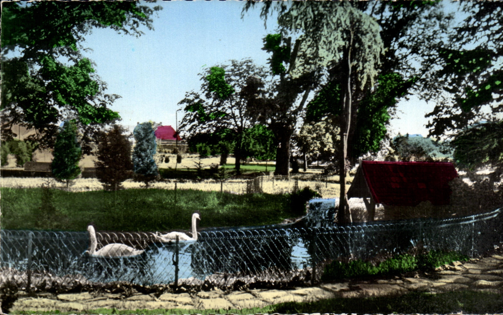 CPA Decines the Public garden Swan