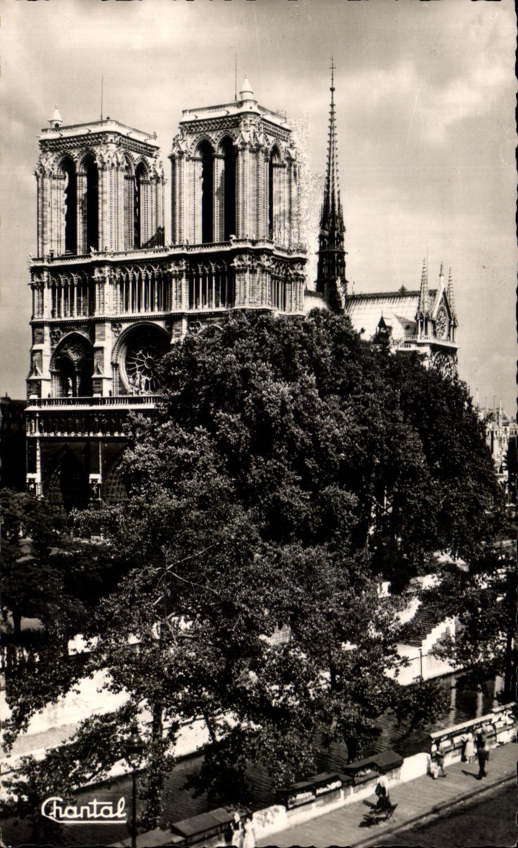 CPA Paris Notre Dame et les Bouquinistes