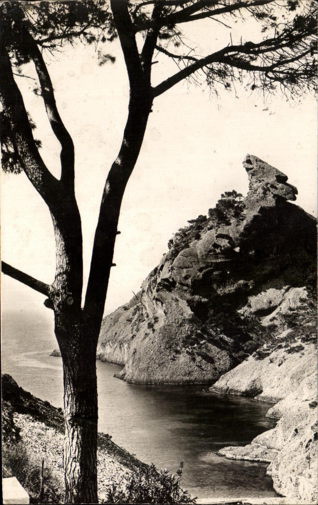 CPA La Ciotat Calanque de Figuerolles