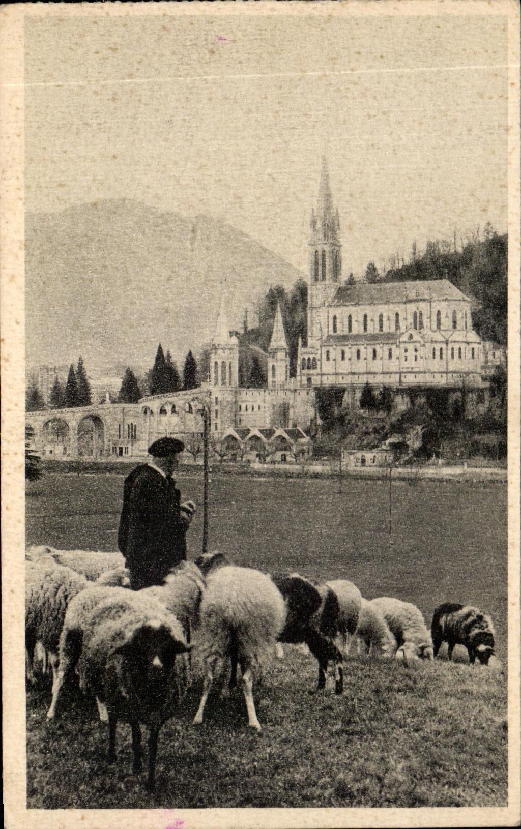 CPA Lourdes La Basillque Berger et moutons 