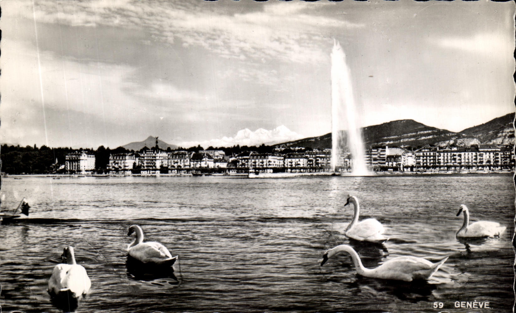Swiss CPA Geneva Swans