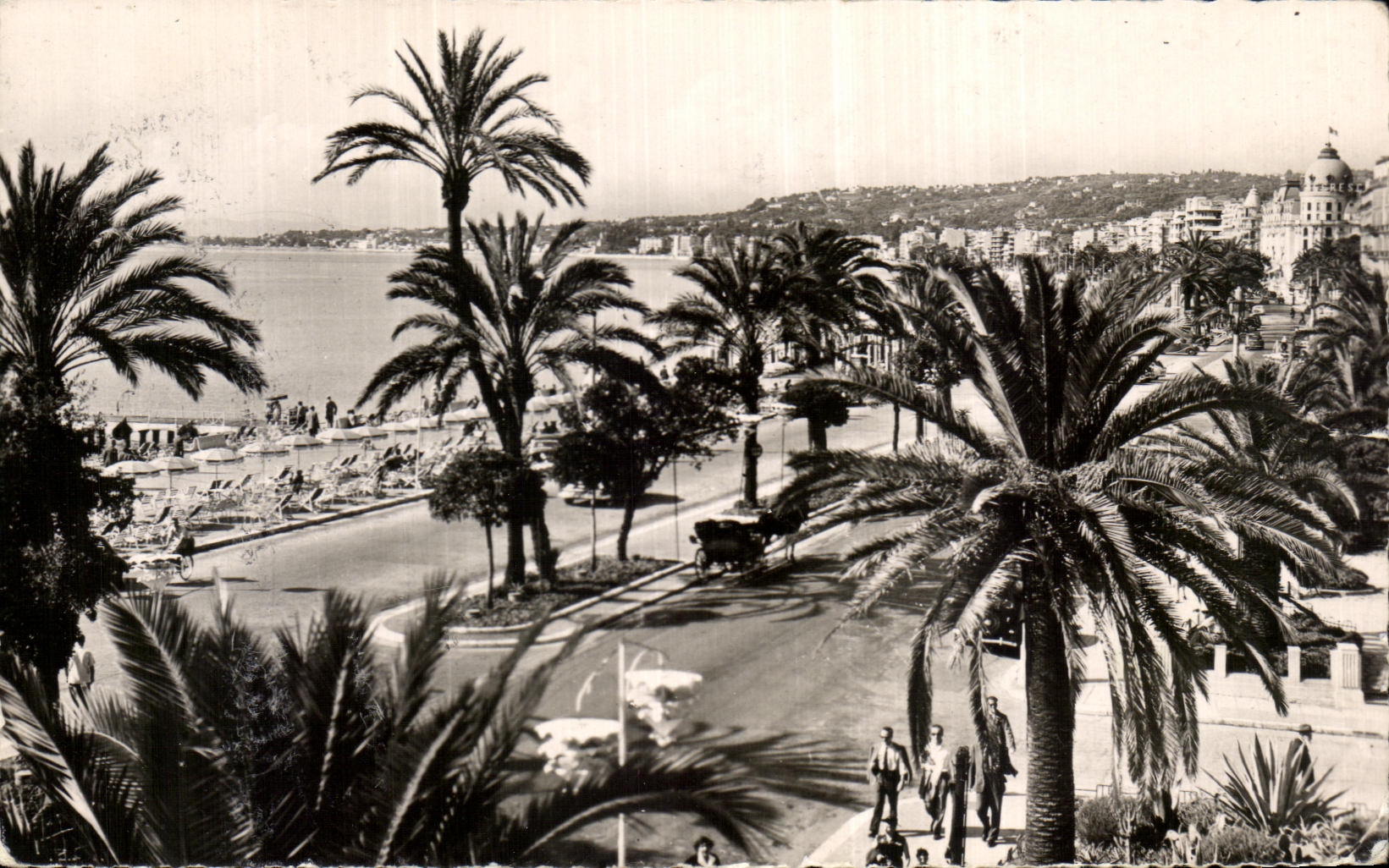 CPA the Dimension Of Nice Azure the Walk of English Palm trees