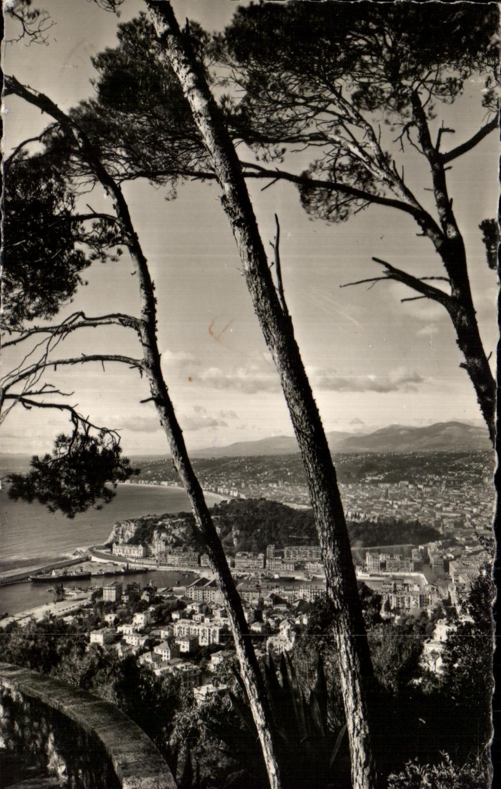 CPA Nice Escaped on the city through the pines