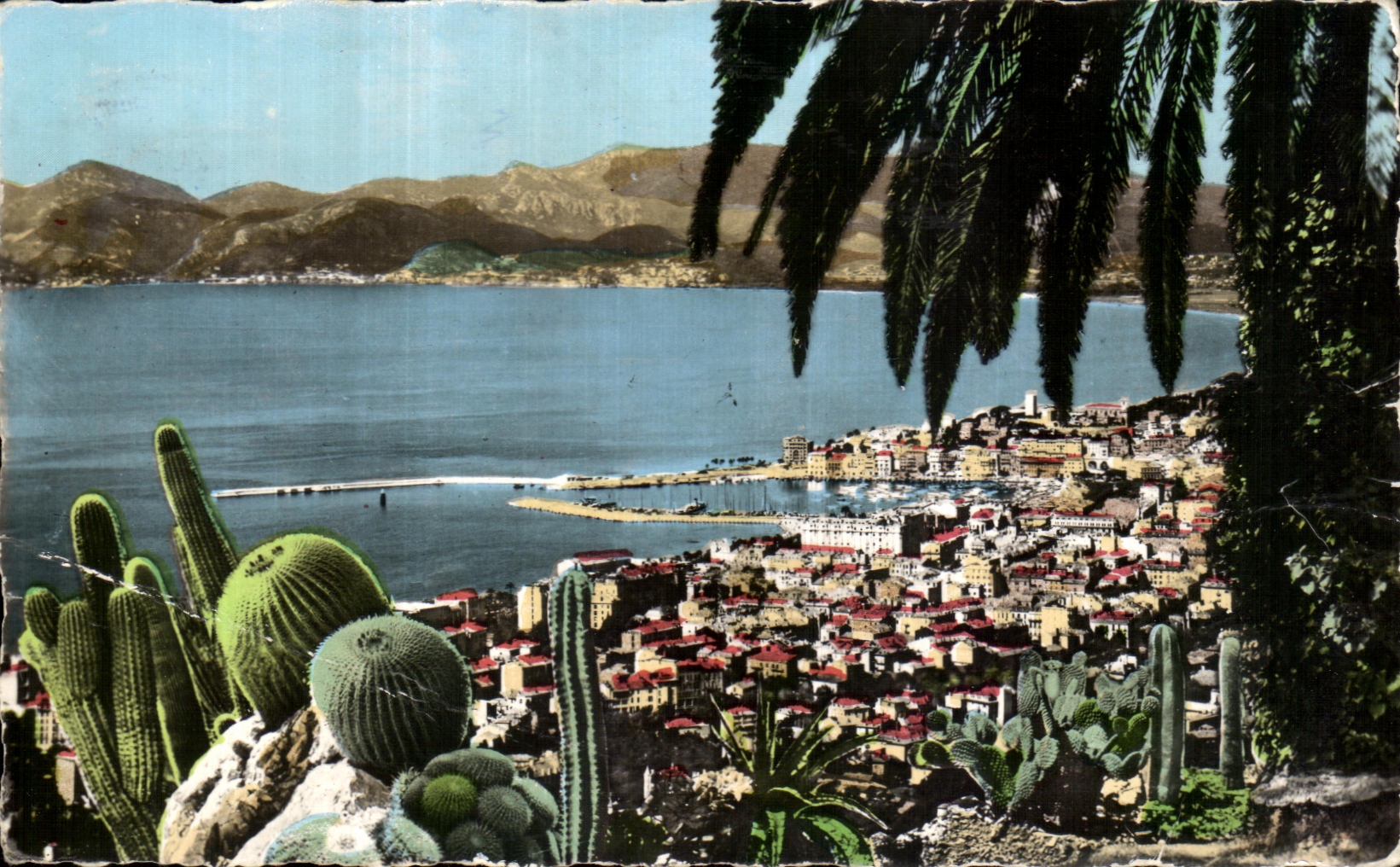 CPA the Dimension Of Cannes Azure View towards Esterel