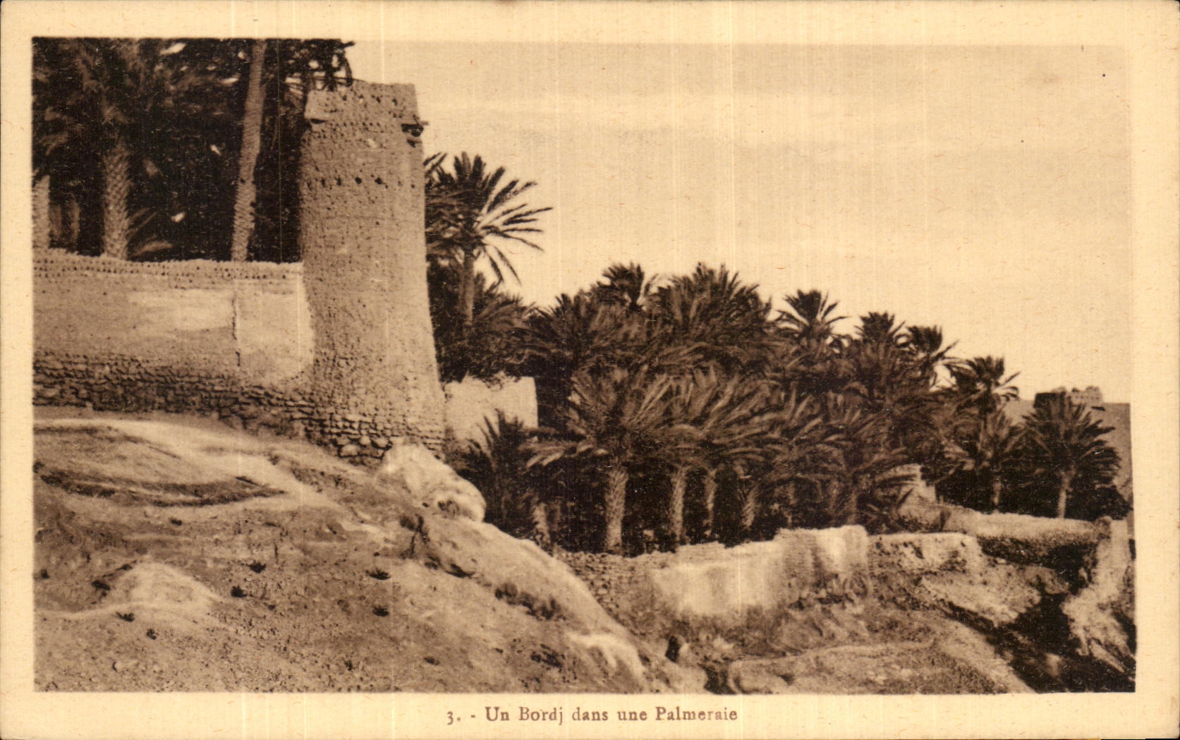 CPA Un Bordj Dans Une Palmeraie Algerie 
