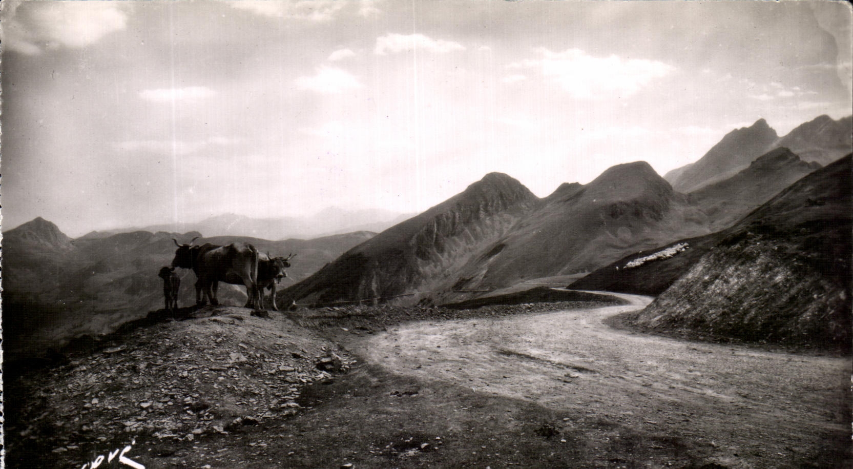 CPA Pau Road Of the collar of Aubisque At the top of the collar Descent on Argeles Cows