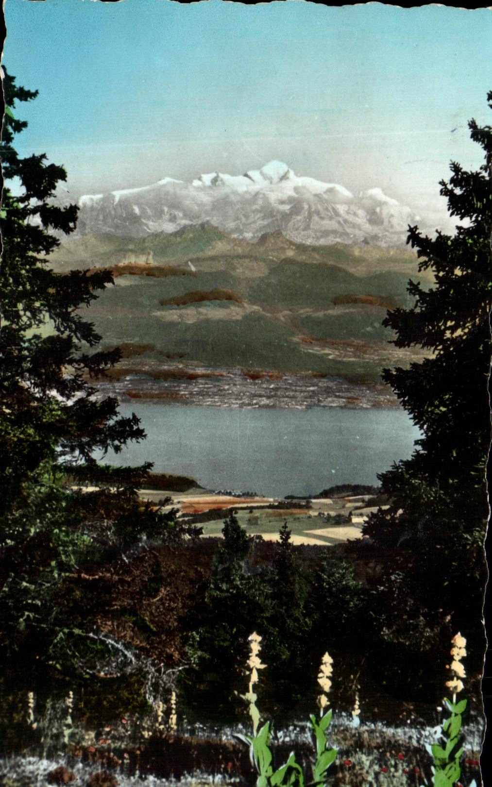 CPA Le Lac Leman Et Le Mont Blanc Vus Du De La Faucille