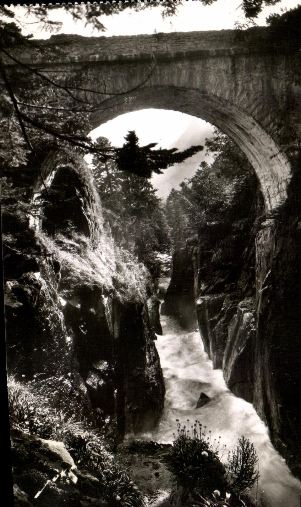 CPA Pau Surroundings of Cauterets the bridge of Spain