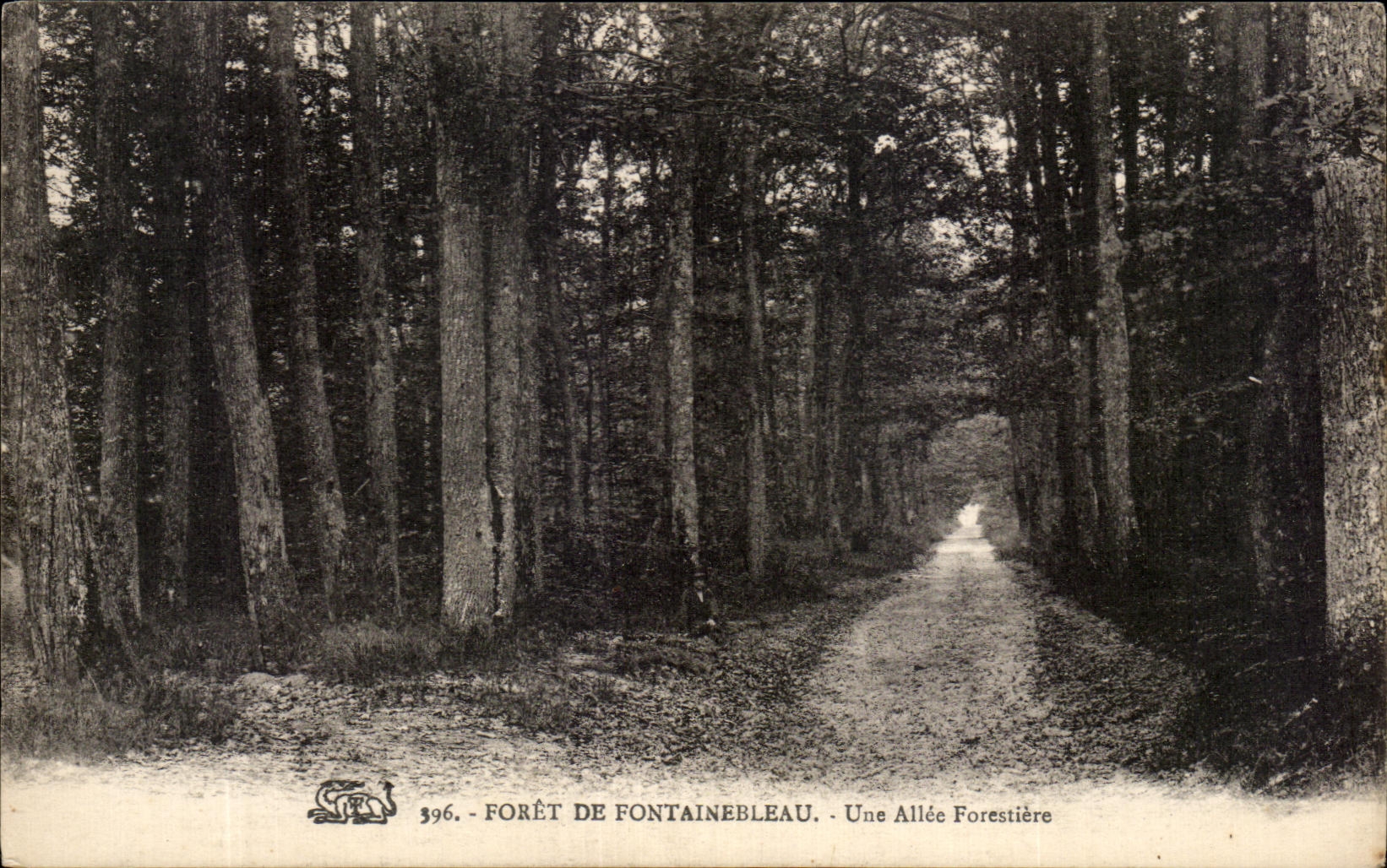 CPA Foret de Fontainebleau Une Allee Forestiere