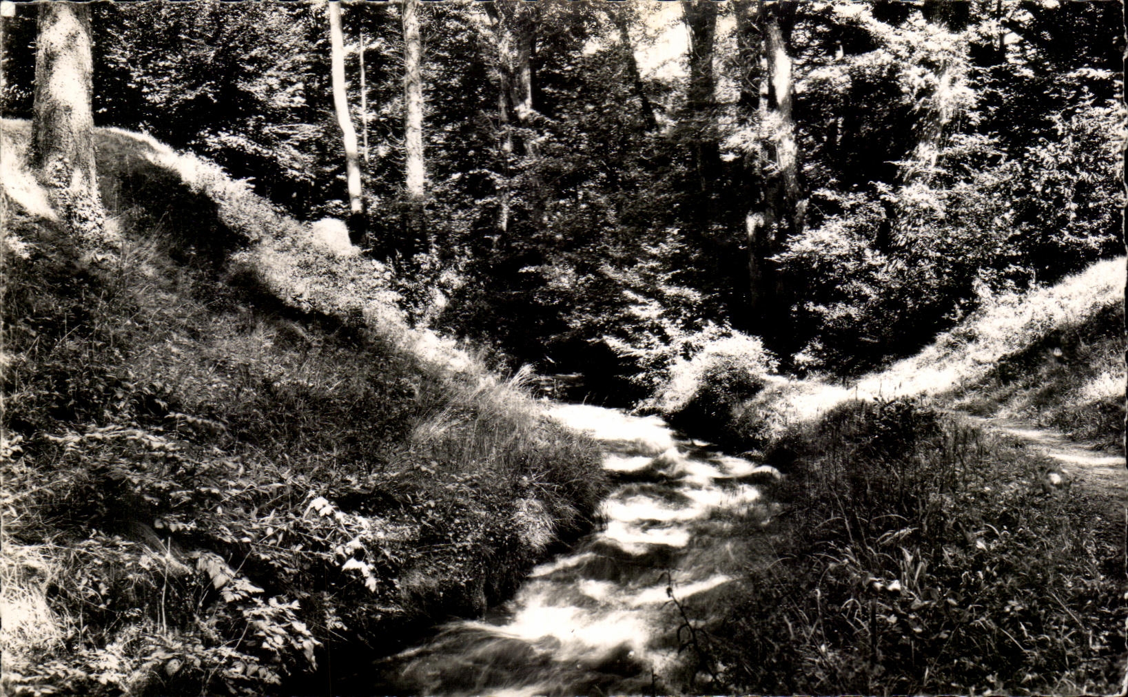 CPA Divonne les Bains Divonne Close to its Source