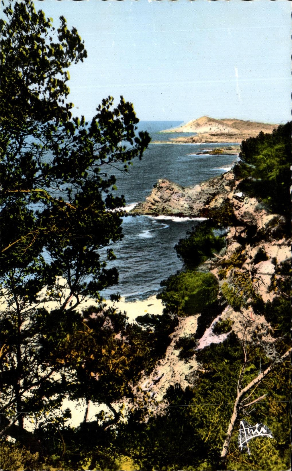 CPA Cote d'Azur Le Brusc Echappee sur le Gaou