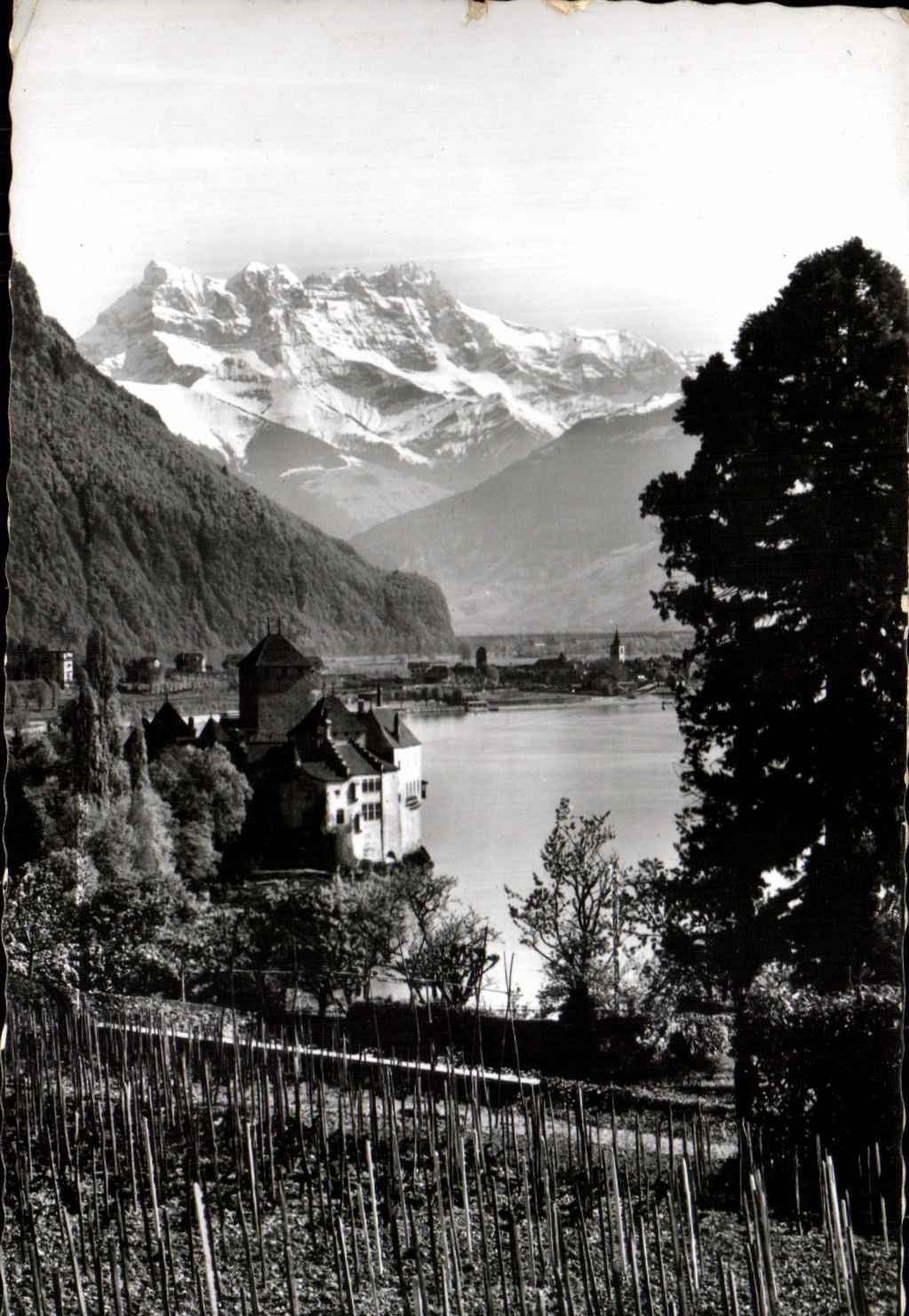 CPSM Chateau de Chillon et dents du Midi