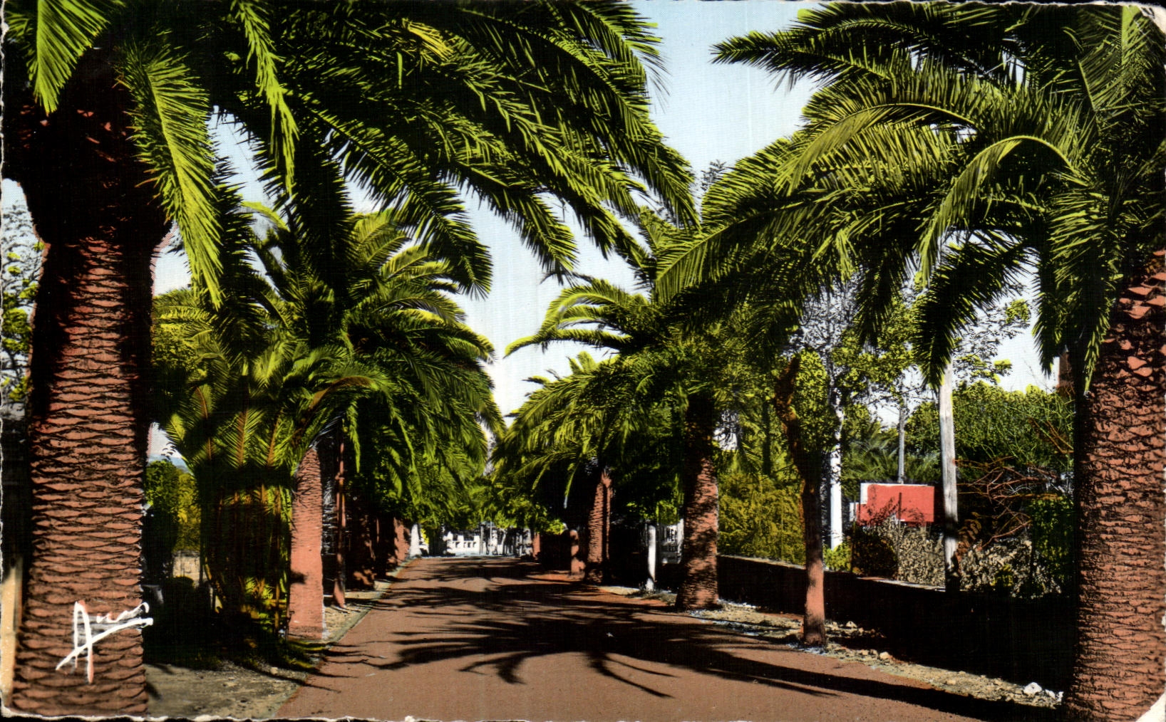 CPA Dimensions Sanary Azure On Mer Avenue De Port Issol