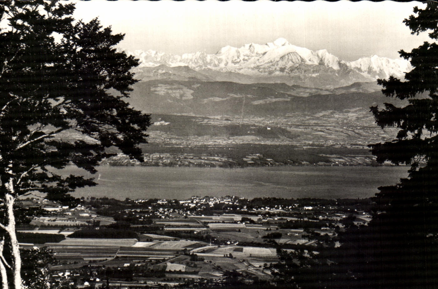 CPA the Lake Leman And Mont Blanc Seen of the Collar of the Sickle