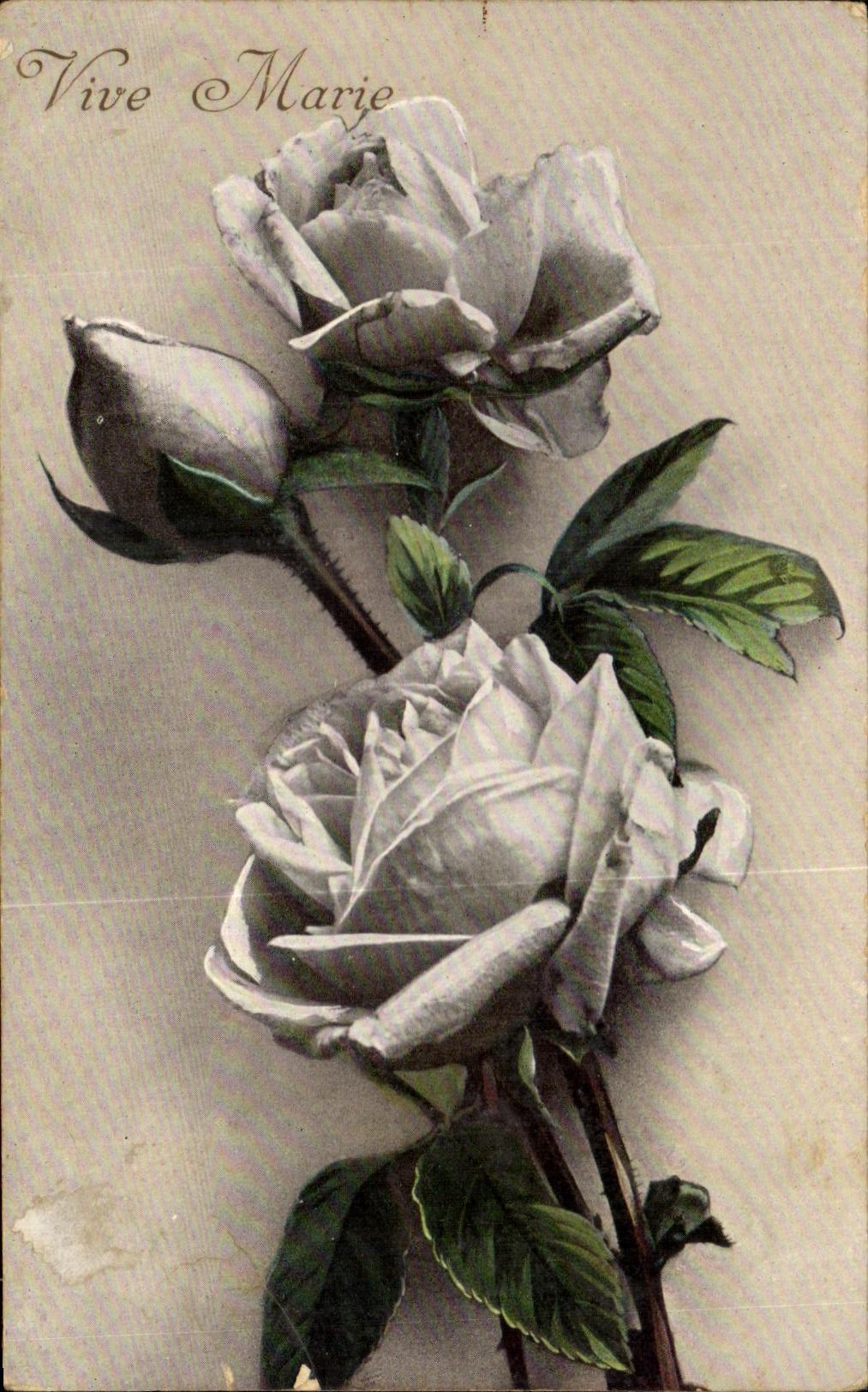 CPA Fantaisie Fleurs Roses Schirmeck Vive Marie