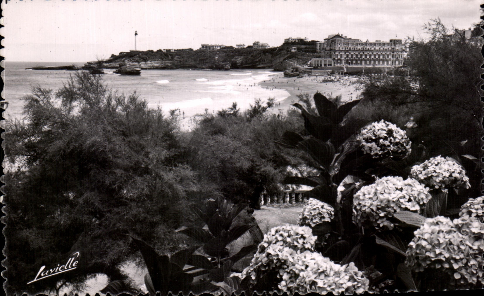 CPA Biarritz Les Hortensias et vue sur le Phare