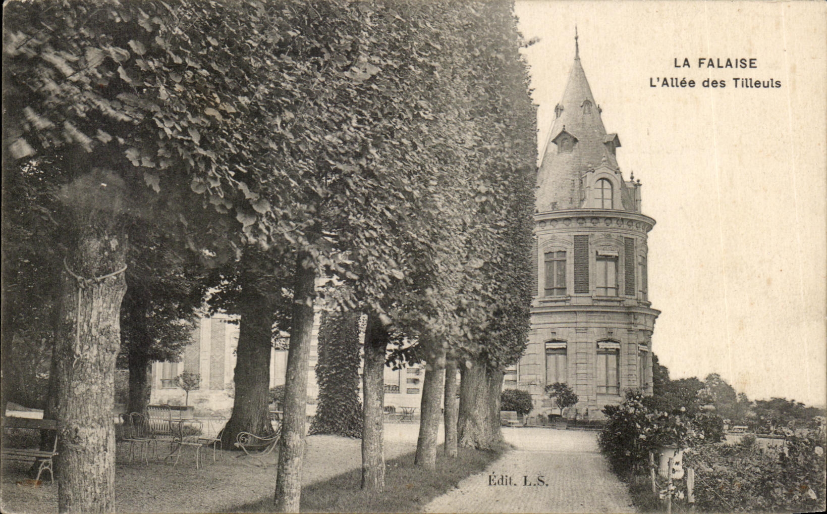 CPA La Falaise L'Allee des Tilleuls