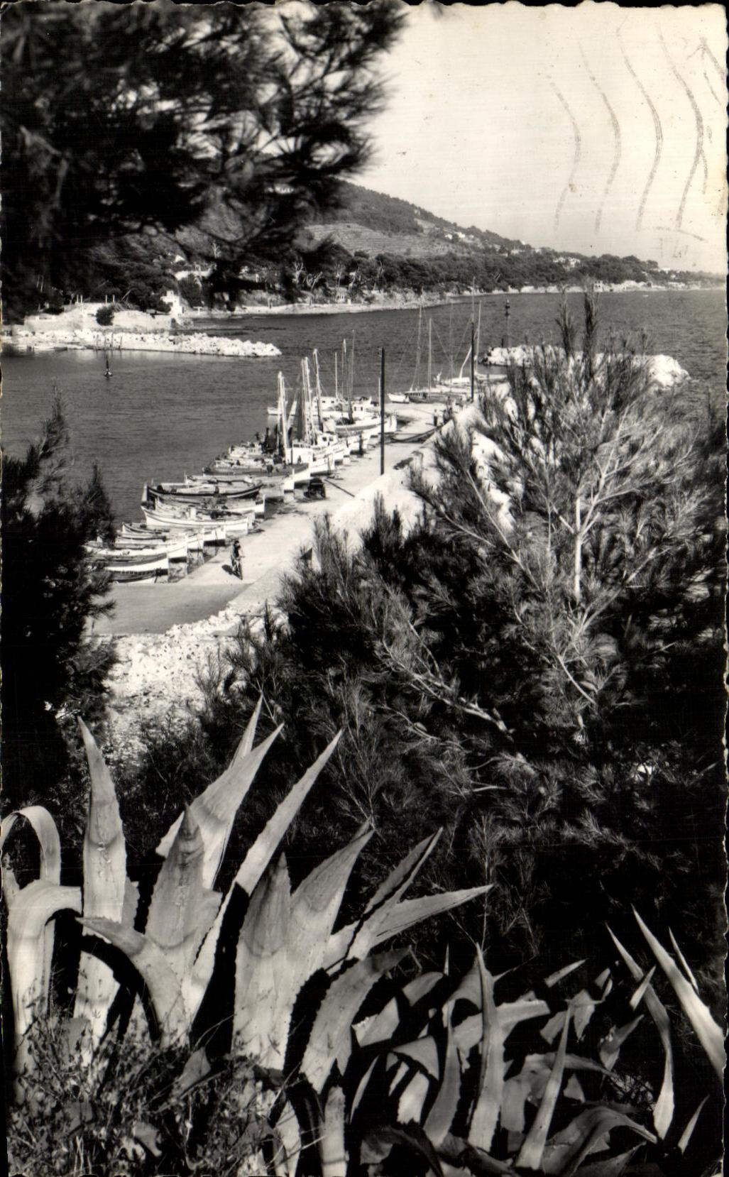 CPSM Carqueiranne the Port of Salettes