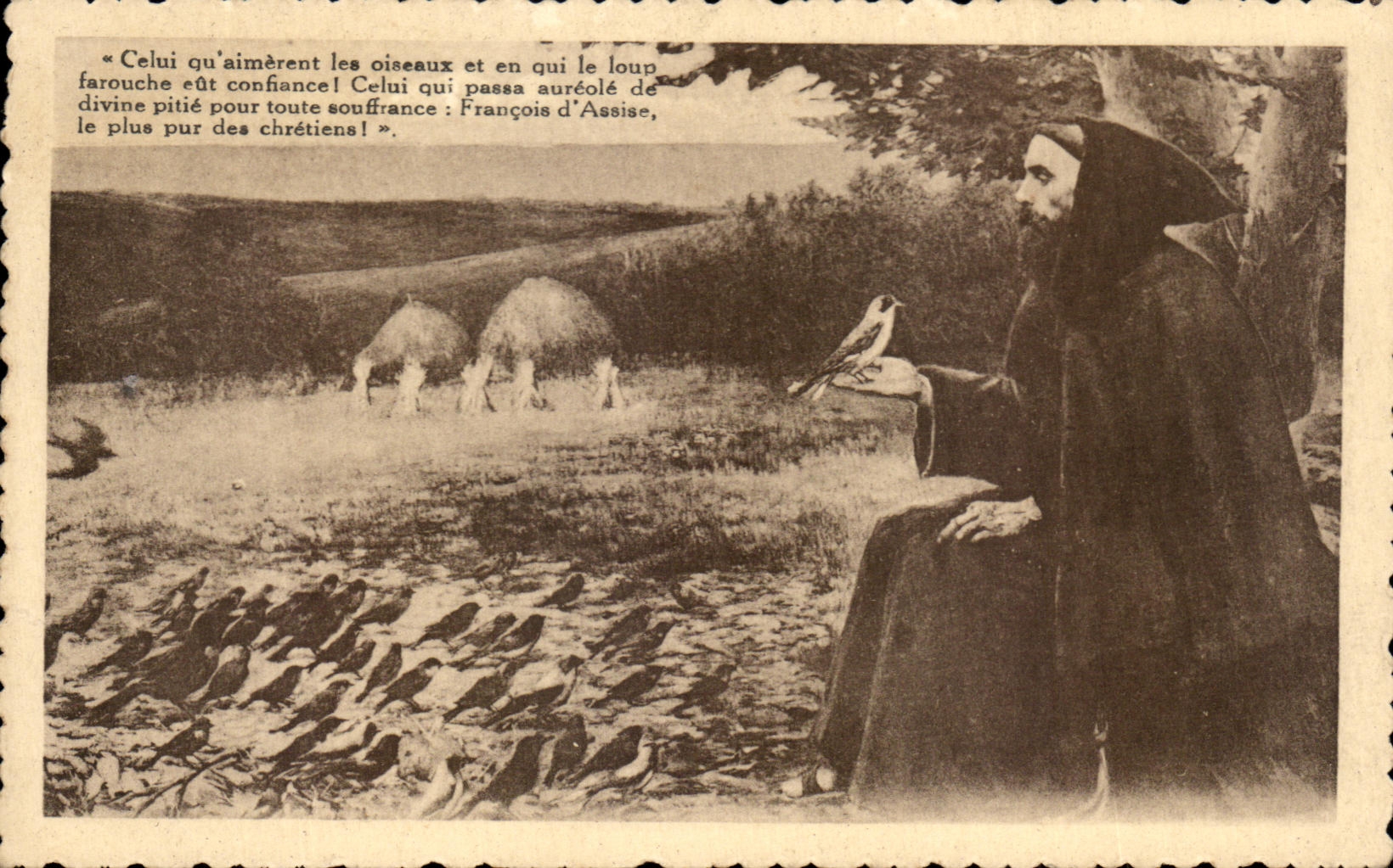 CPA Francois d'Assise Oiseau 