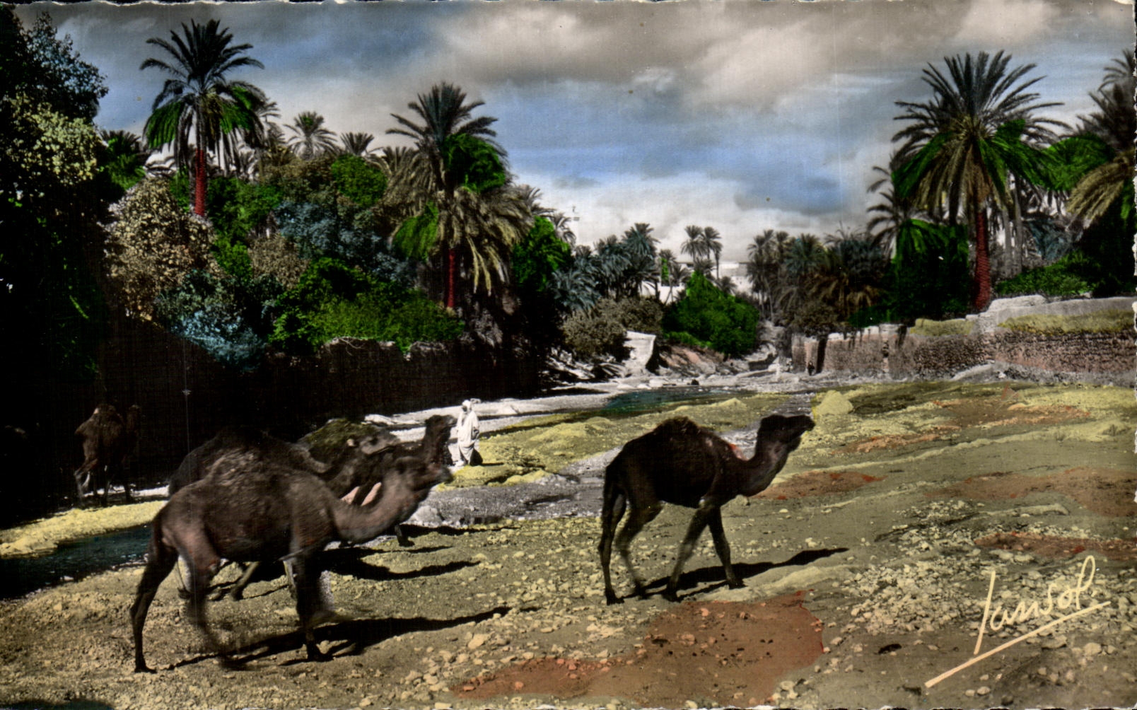 Sur argelino de CPA un lecho de un rio seco en el camello del sur